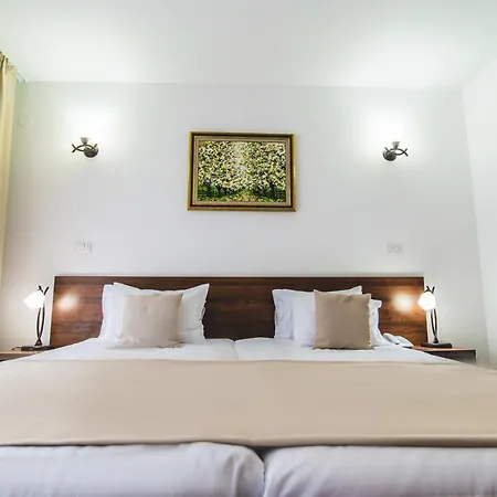 Class Hotel Brezoi